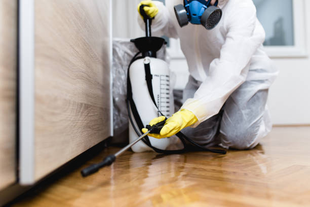 Best Residential Pest Control  in Fergus Falls, MN