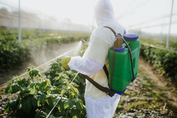 Best Mosquito Control Services  in Fergus Falls, MN